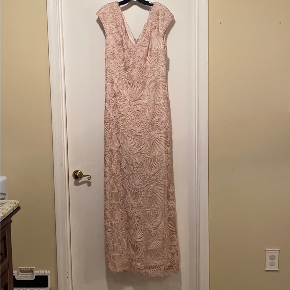 Evening Gown: Beautiful Tadashi Shoji Passementerie Soutache Embroider Tulle
